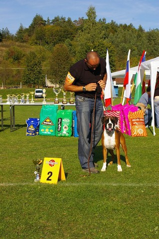 www.boxer-show.eu